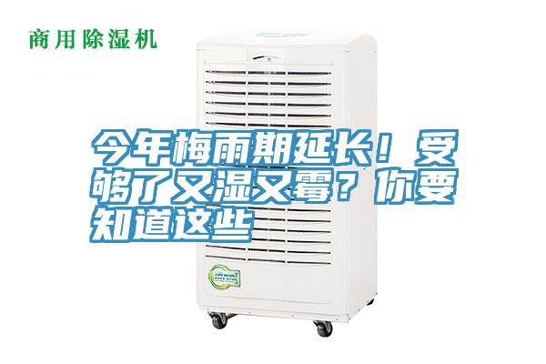 今年梅雨期延長！受夠了又濕又霉？你要知道這些