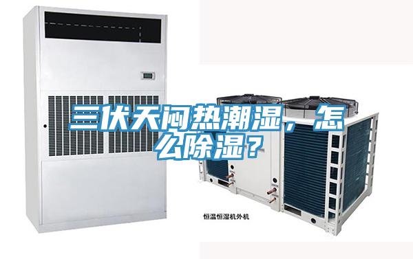 三伏天悶熱潮濕,怎么除濕?