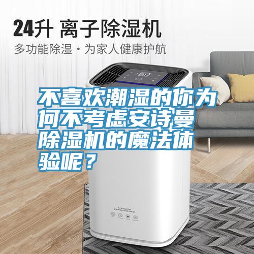 不喜歡潮濕的你為何不考慮安詩曼除濕機的魔法體驗呢？