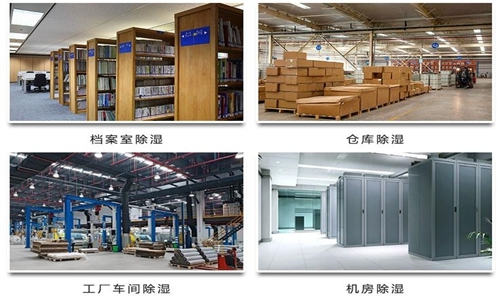 為什么竹筍烘干房需要除濕機？