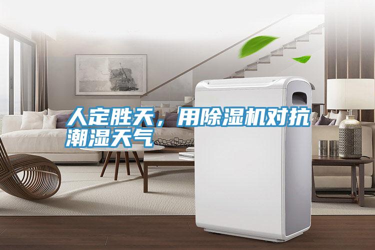 人定勝天，用除濕機(jī)對抗潮濕天氣