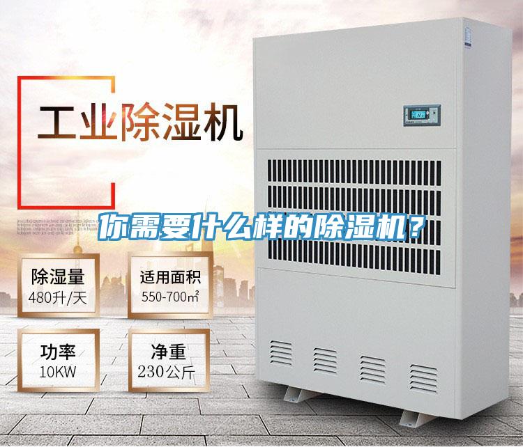 你需要什么樣的除濕機？