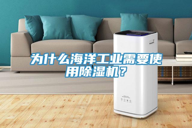 為什么海洋工業需要使用除濕機？