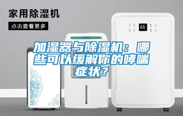 加濕器與除濕機：哪些可以緩解你的哮喘癥狀？