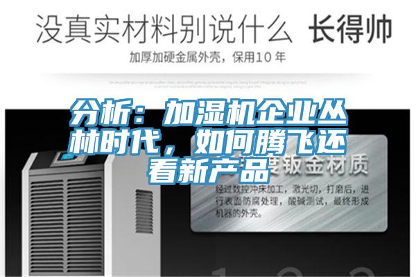 分析:加濕機(jī)企業(yè)叢林時(shí)代,如何騰飛還看新產(chǎn)品