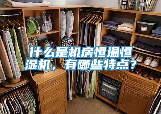什么是機(jī)房恒溫恒濕機(jī)，有哪些特點(diǎn)？