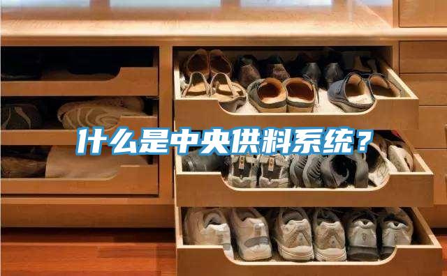什么是中央供料系統？