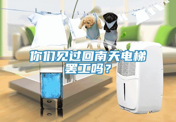 你們見過回南天電梯罷工嗎？