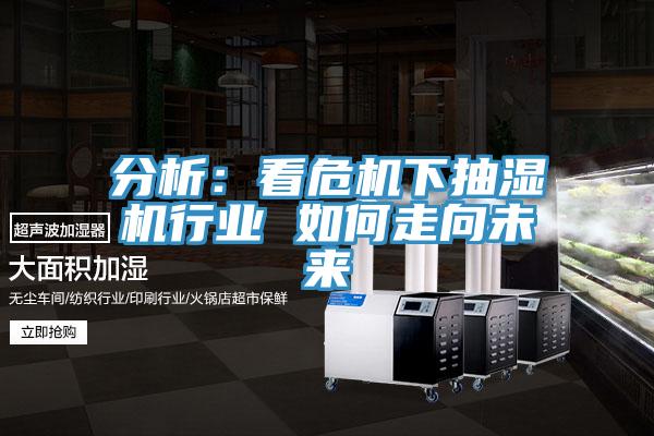 分析:看危機(jī)下抽濕機(jī)行業(yè) 如何走向未來