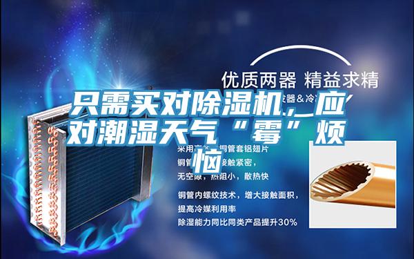 只需買對除濕機，應(yīng)對潮濕天氣“霉”煩惱