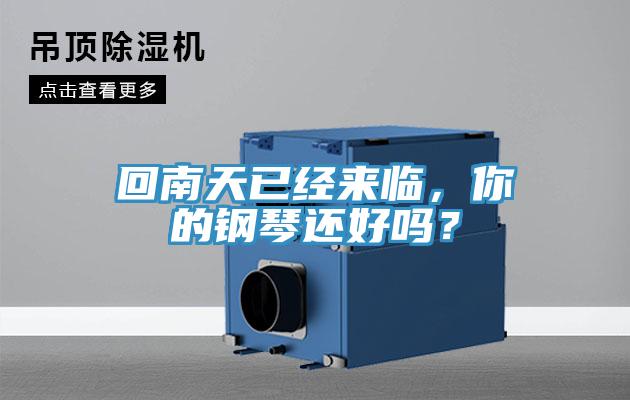 回南天已經(jīng)來臨,你的鋼琴還好嗎?