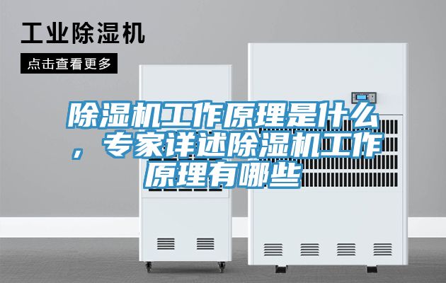 除濕機工作原理是什么,專家詳述除濕機工作原理有哪些