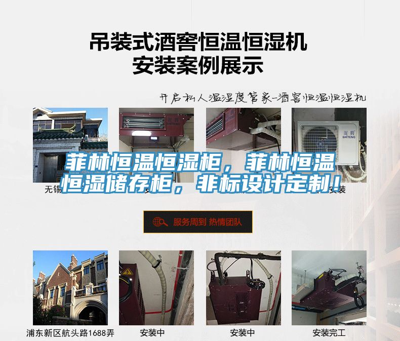 菲林恒溫恒濕柜，菲林恒溫恒濕儲存柜，非標設計定制！