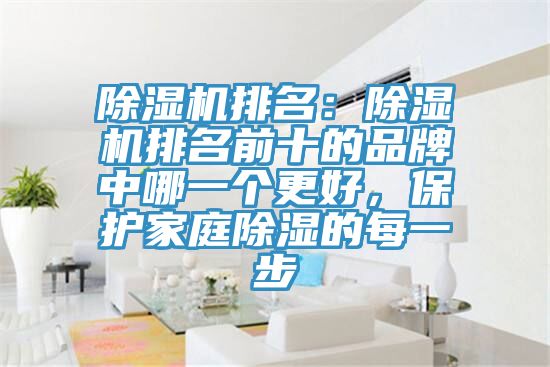 除濕機排名：除濕機排名前十的品牌中哪一個更好，保護家庭除濕的每一步
