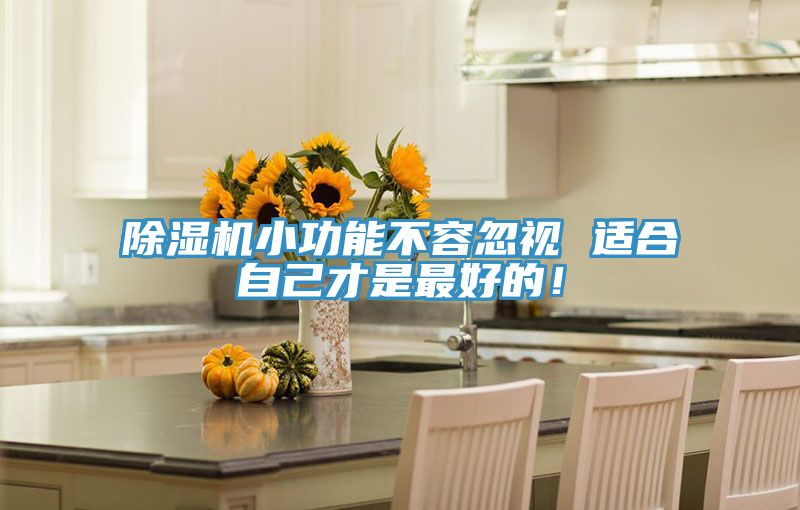除濕機小功能不容忽視 適合自己才是最好的！