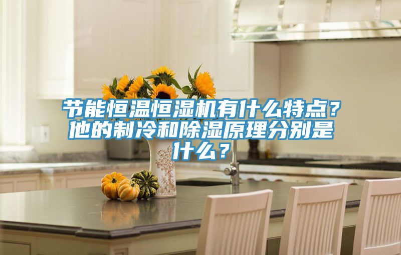 節(jié)能恒溫恒濕機(jī)有什么特點(diǎn)?他的制冷和除濕原理分別是什么?