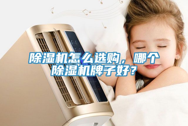 除濕機怎么選購,哪個除濕機牌子好?