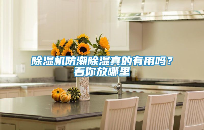 除濕機防潮除濕真的有用嗎？看你放哪里