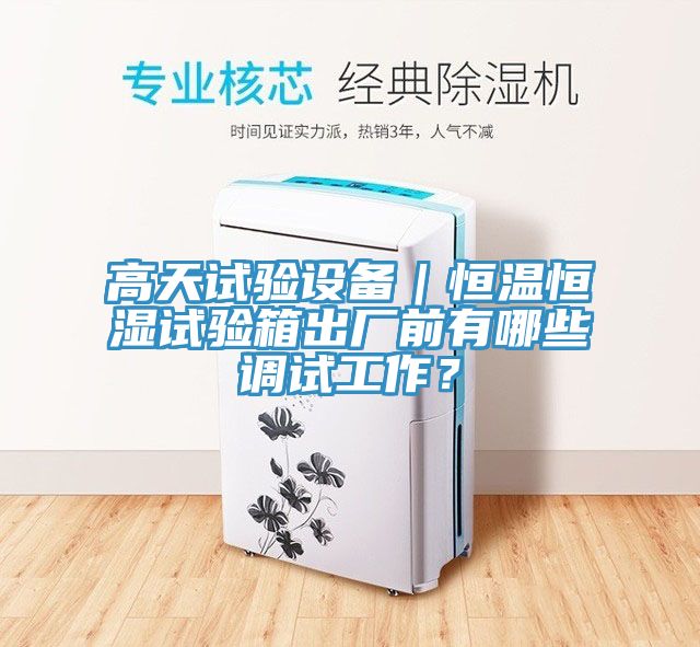 高天試驗設(shè)備|恒溫恒濕試驗箱出廠前有哪些調(diào)試工作?