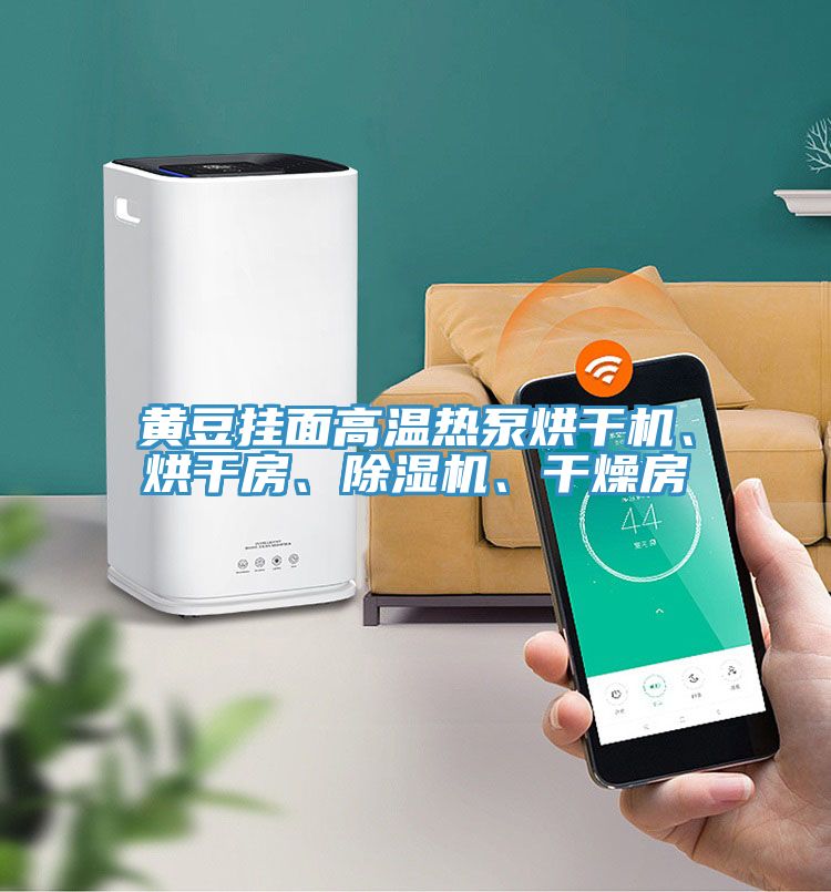 黃豆掛面高溫?zé)岜煤娓蓹C、烘干房、除濕機、干燥房