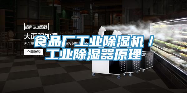 食品廠工業(yè)除濕機(jī)/工業(yè)除濕器原理