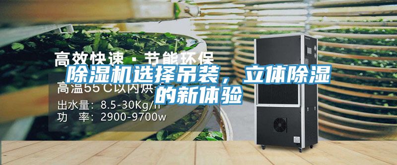 除濕機選擇吊裝，立體除濕的新體驗