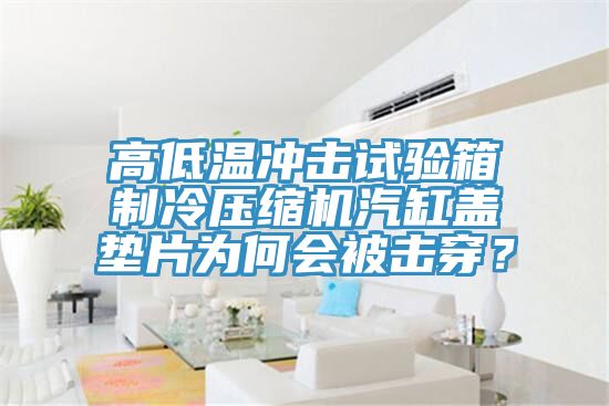 高低溫沖擊試驗(yàn)箱制冷壓縮機(jī)汽缸蓋墊片為何會被擊穿?