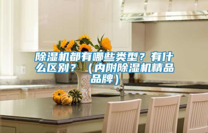 除濕機(jī)都有哪些類型？有什么區(qū)別？（內(nèi)附除濕機(jī)精品品牌）