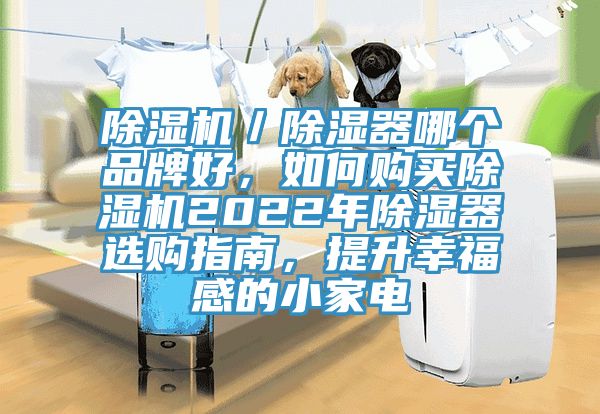 除濕機/除濕器哪個品牌好,如何購買除濕機2022年除濕器選購指南,提升幸福感的小家電