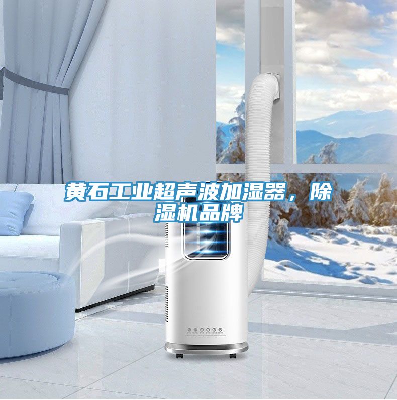 黃石工業超聲波加濕器，除濕機品牌